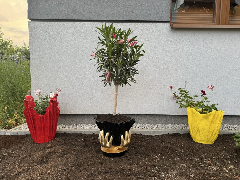 Ręcznie robione doniczki ogrodowe z betonu – unikatowe wzory