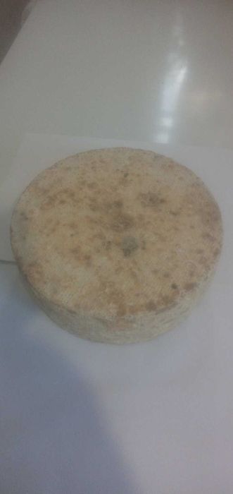 Натуральний крафтовий козиний сир, козине молоко, козенята, дійні кози