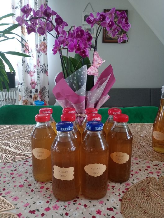 Syropy z kwiatów czarnego bzu 10x300 ml