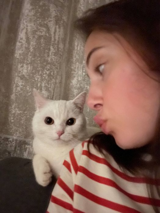 Віддамо Кішечку в добрі руки