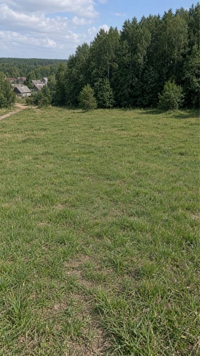 Фото ділянки