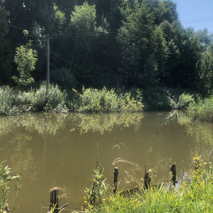 Будинок, котедж, база відпочинку, стави, озера, рибальство, Карпати