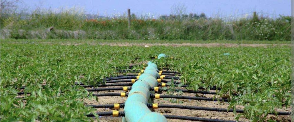 Tubos de rega agrícola e aspersores ( troca por roçadora a gasolina ) ou por máquina corta relva a gasolina.