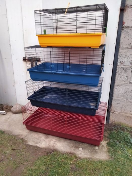 Klatka na gryzonie 80cm 100cm 120cm królik kury kaczki gołębie papugi