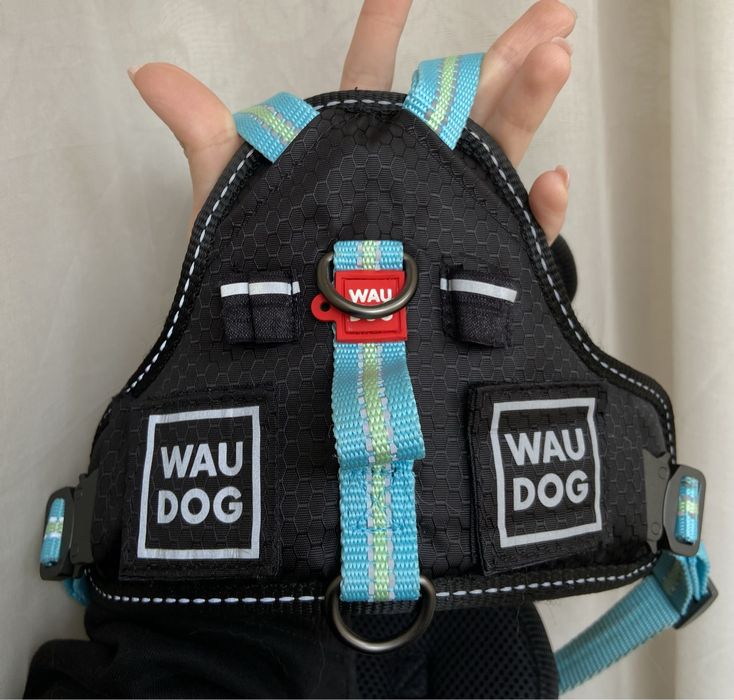 Нова шлея від waudog