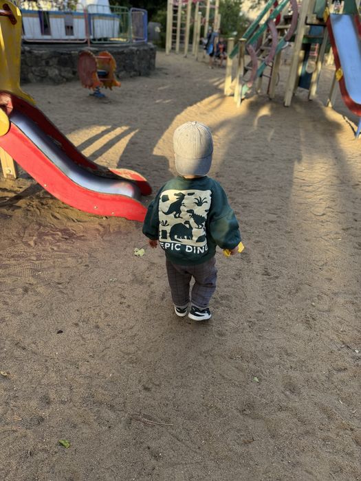 Набір від zara штани та світшот