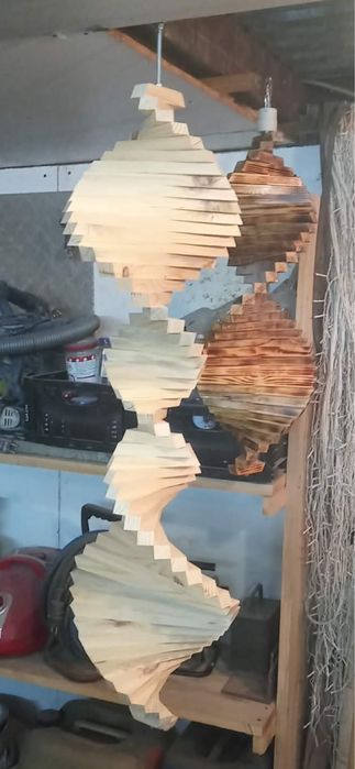 Świderek kręciołek ogrodowy