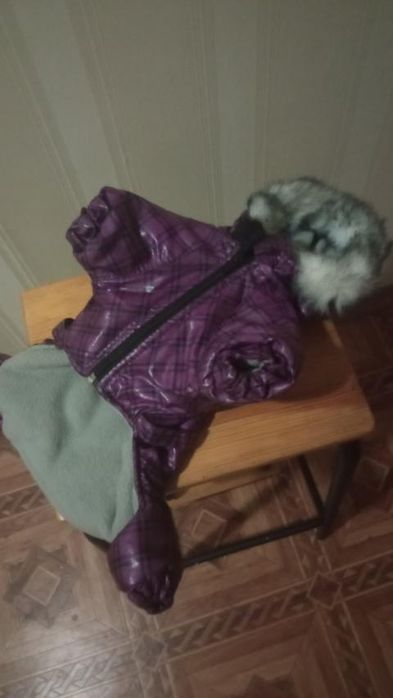 Комбінезон для собак.