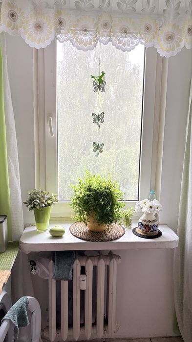 Zdjęcie 7