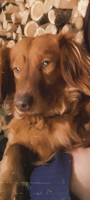 В,язка такси ...