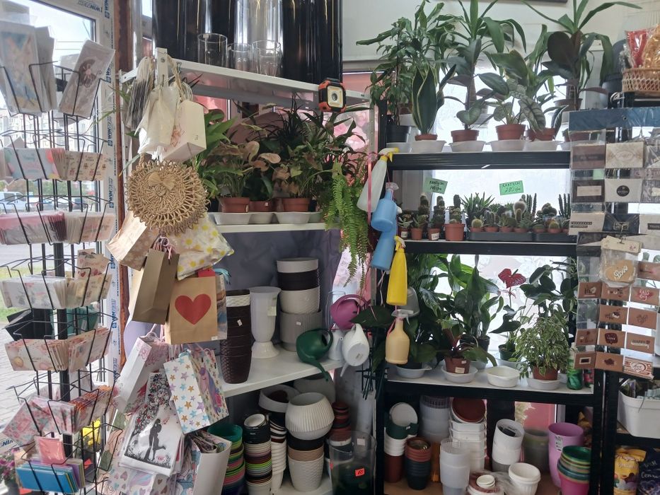 Продам   готовый  квітковий  бізнес