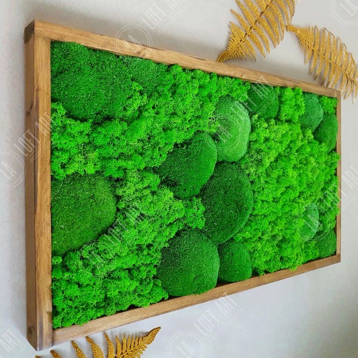 Картина из мха, Панно, пано со мхом, Мох в раме, Эко Декор на стену ...