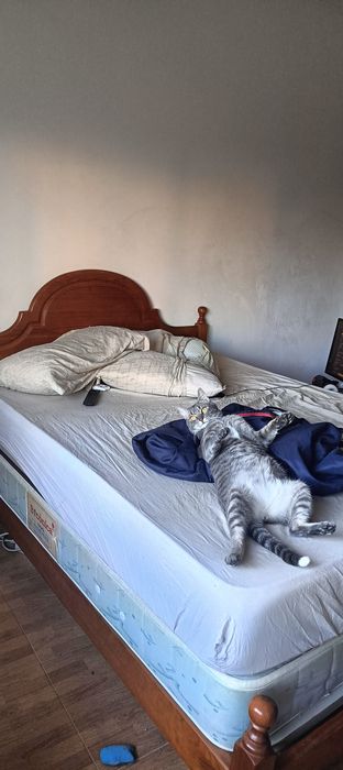 Cama casal pinho mel