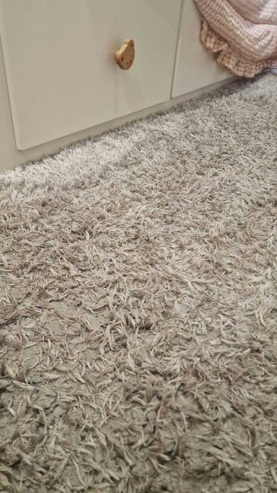 Carpete 2m x 2.9m