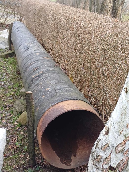 Rura stalowa fi 510x8 dł. 6150  izolowana