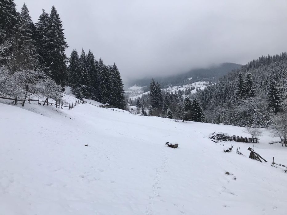 Земля під будівництво земельна ділянка в Карпатах Верхонина