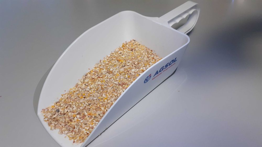 Kukurydza ziarno kiszone gniecione Corn Energy - cena brutto z dostawa