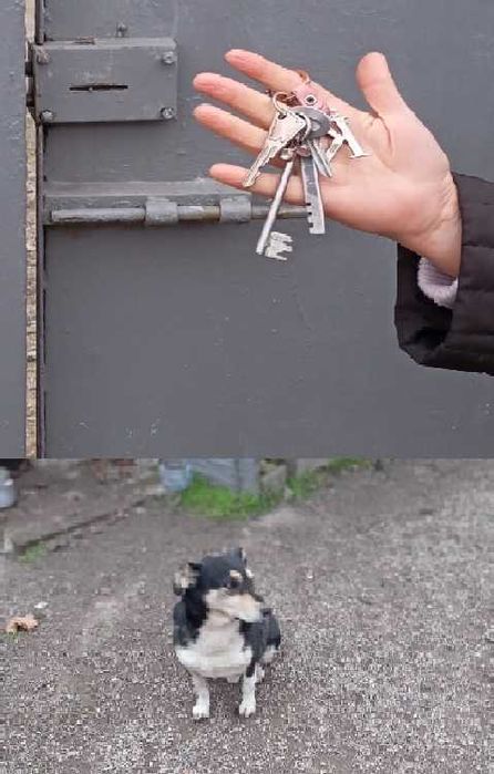 Продаю невеликий будиночок з великою ділянкою