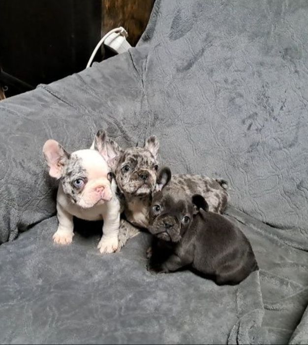 Малята різнокольорові хлопчики та дівчатка