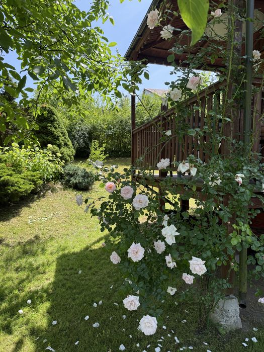 Działka ROD Tenczynek