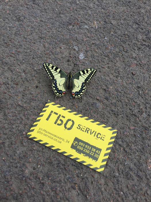 Гбо,  встановлення, сертифікація, обслуговування Чернігів