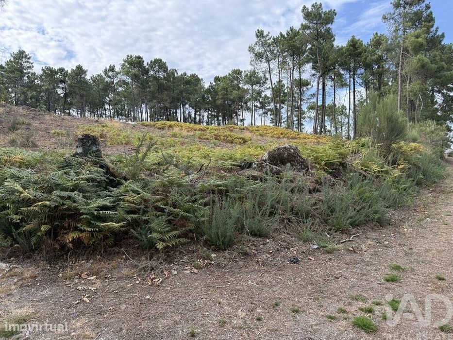 Terreno para construção em Mouçós e Lamares de 3484,00 m2