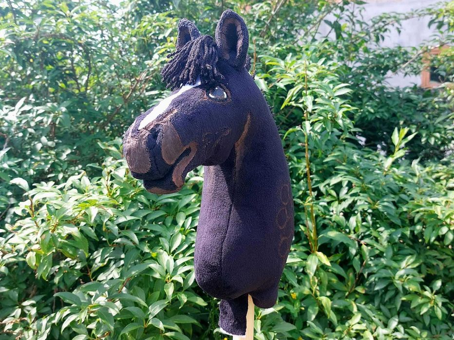 Czarny Hobby Horse