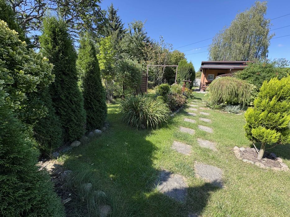 Działka ROD Jelonek gm. Suchy Las atrakcyjna