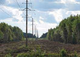 Расчистка трасс линий электропередач (ЛЭП) сучасно, ефективно з нами!