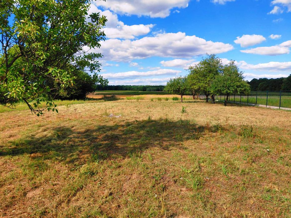 Działka budowlana 3800 m² z MPZP Zaborze, okolice Nałęczowa, Kazimierza - Widok 2