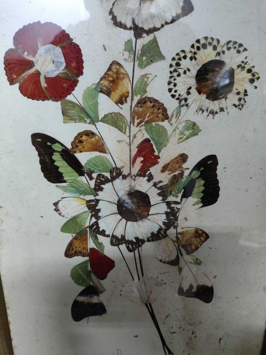 2 quadro antigos feitos em folhas e penas assinados vintage