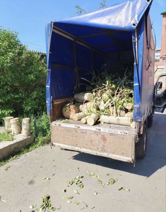 Вивіз сміття  вантажники