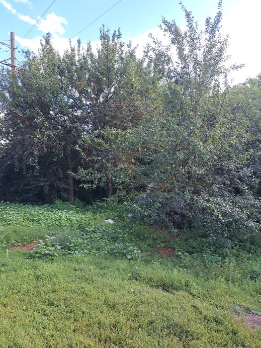 Продам будинок в Бурині