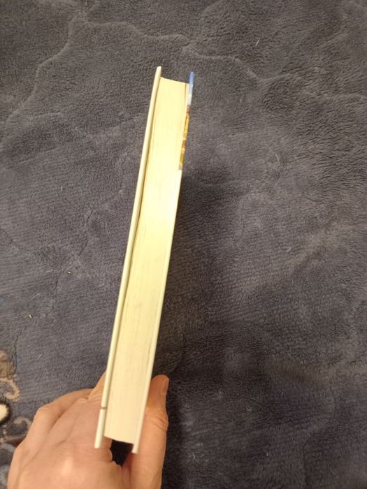 Андрій Курков. Пікнік на льоду