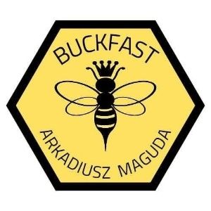 Matka Pszczela  z sprawdzonym czerwieniem.. Buckfast Royal.