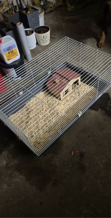 Klatka dla ktolika swinki duza