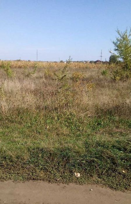 Земельна ділянка 12 соток біля річки Південний Буг (Летичів)