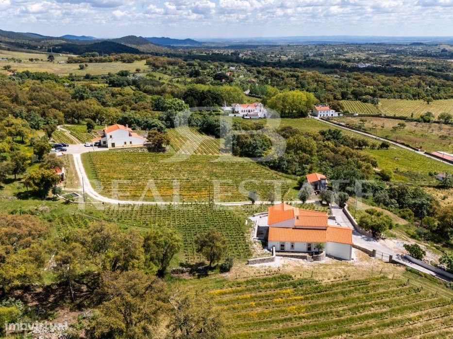 Quinta - 11 hectares com 6 casas, na Serra de São Mamede, Alentejo