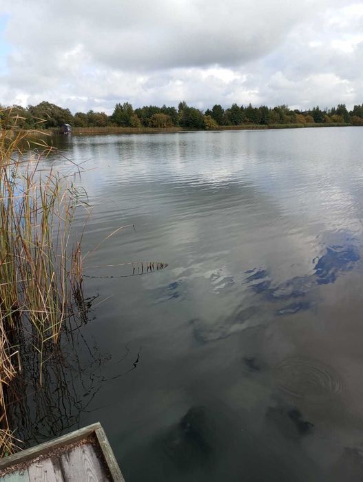 Działka z linią brzegową jeziora Długie 30ar