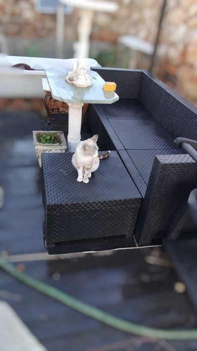 Sofá plástico preto