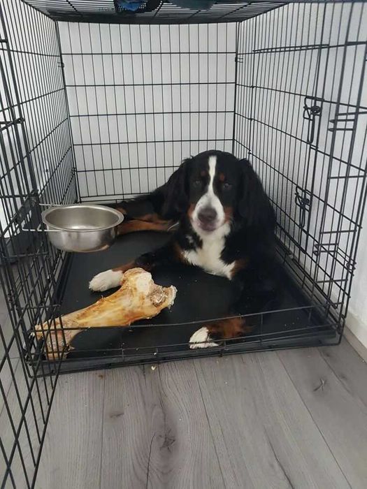 Клітка нові X/S-XXL переноска вольер будка место для собак или кошек