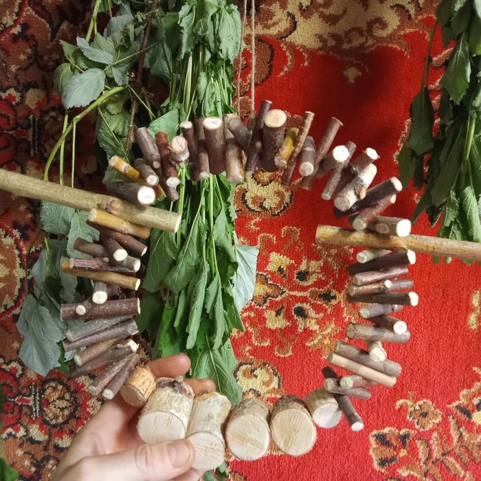 Домашним питомцам