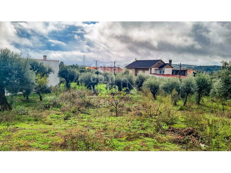 Terreno com Viabilidade de Construção - 456 m² | Próximo de Leiria