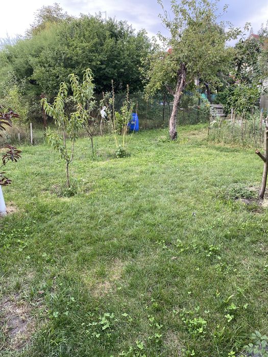 Перетримка тварин. Гарні умови. Любим і котиків і собак)