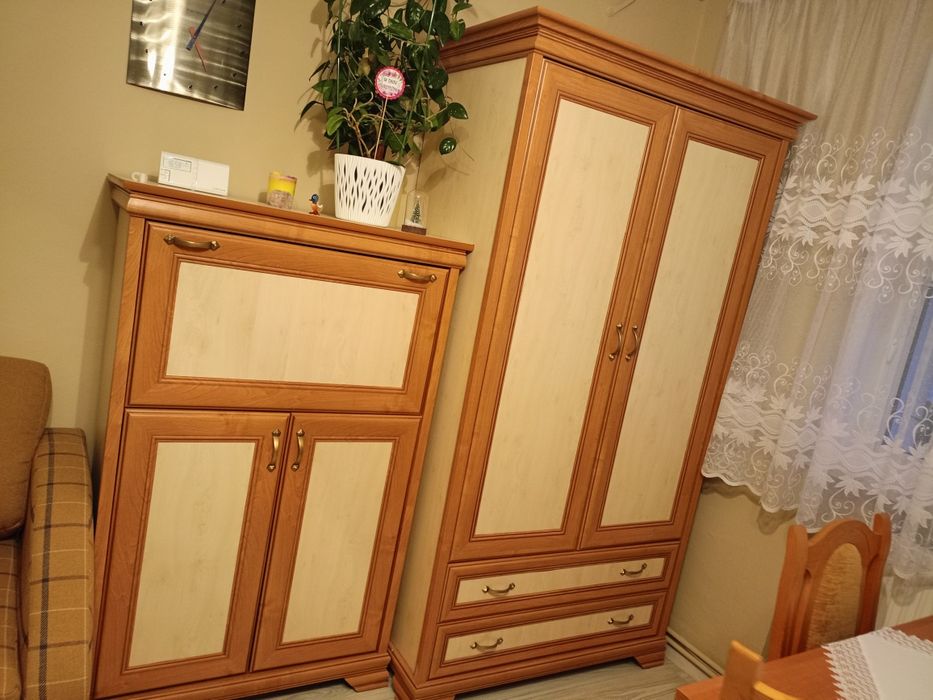 Zestaw mebli kolor olcha.