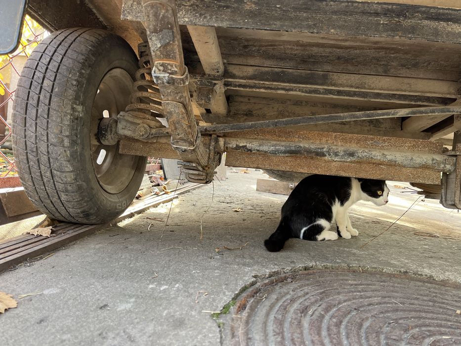 Причіп легковий усиленний .