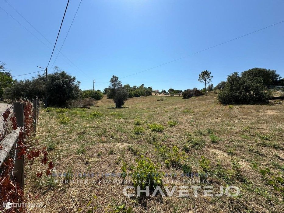Terreno com 11.160m2 situado em Porto Mendo.