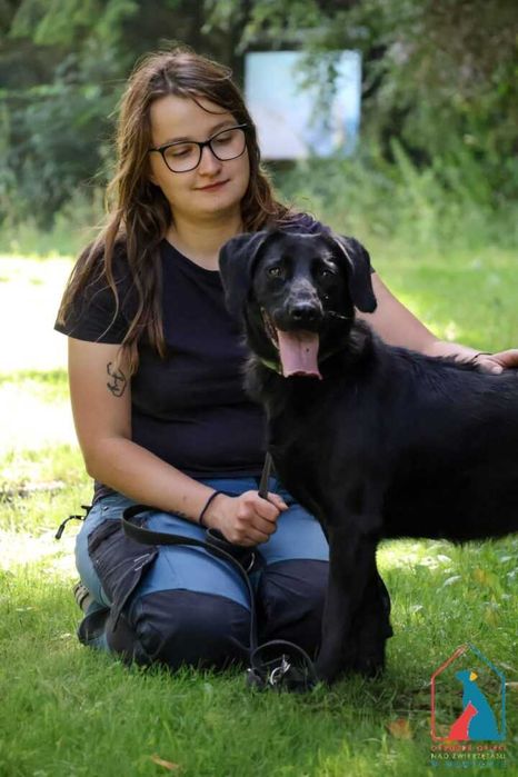 Młoda, wesoła, przyjazna, fajna sunia szuka domu