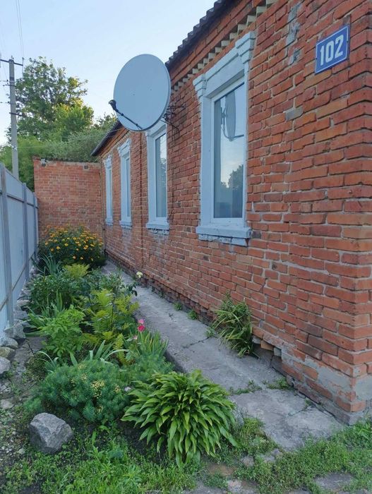 Продається затишний будинок з ремонтом в Богодухові