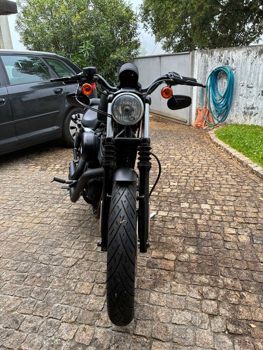 HARLEY IRON 883 2012 • 8.431 Km • Extras • Estado impecável